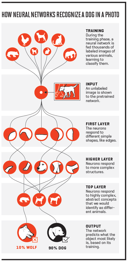 lrn-10-01-16-neural-networks-e1474990995824